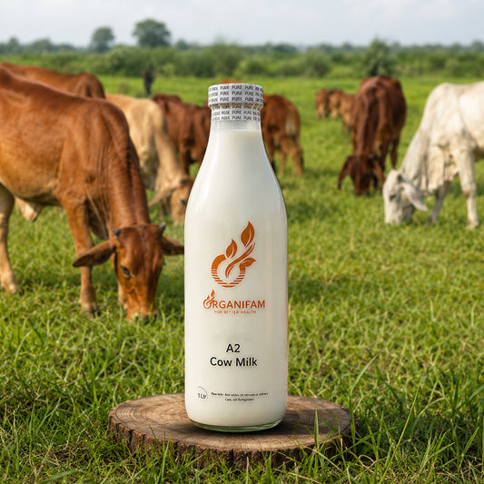 Organic A2 Cow Milk