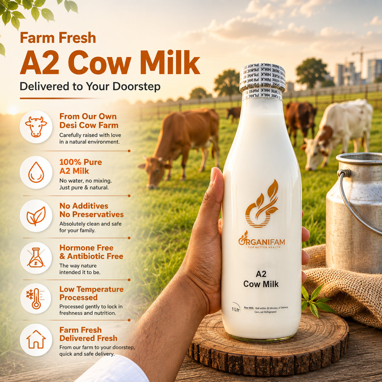 Organic A2 Cow Milk