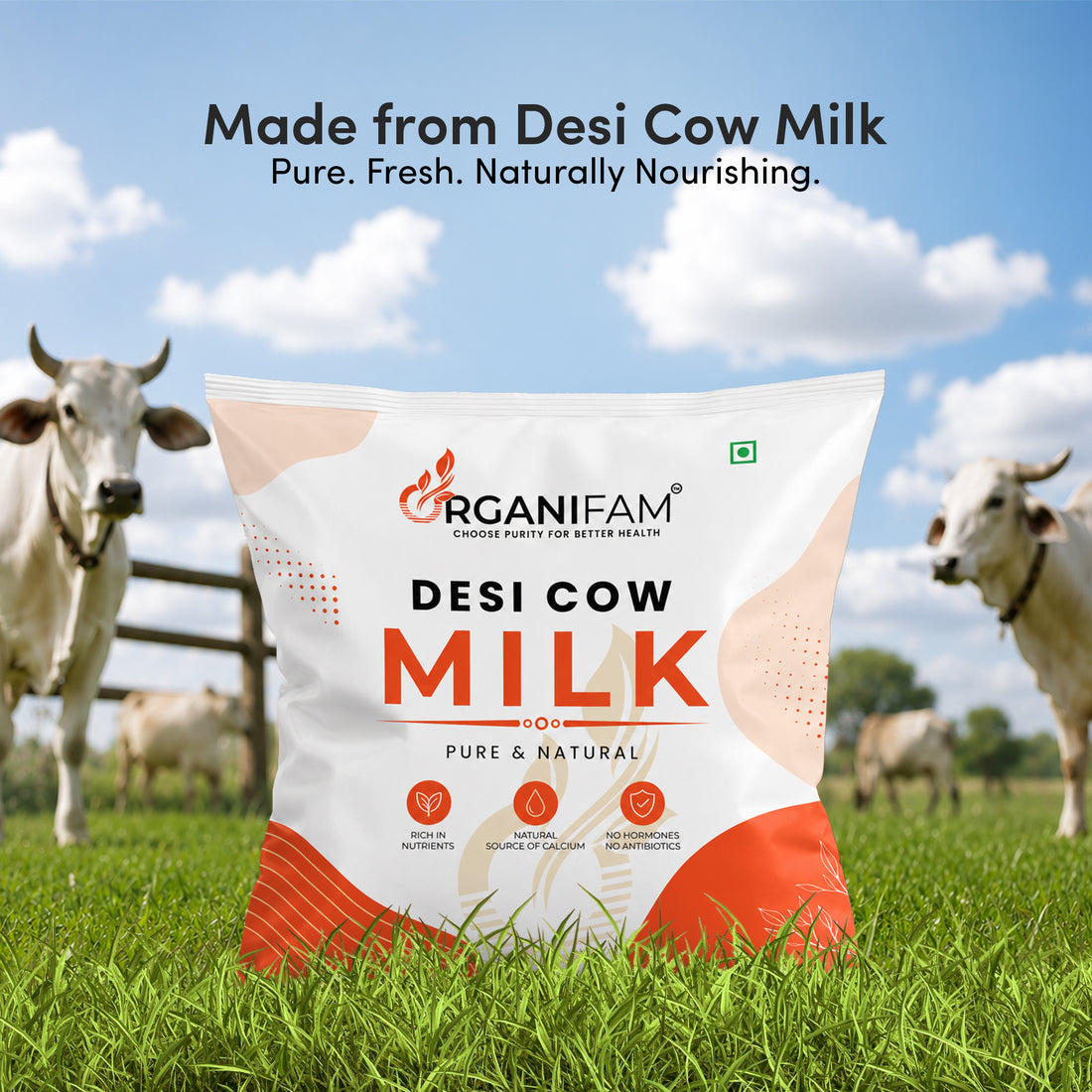 Desi Cow Milk