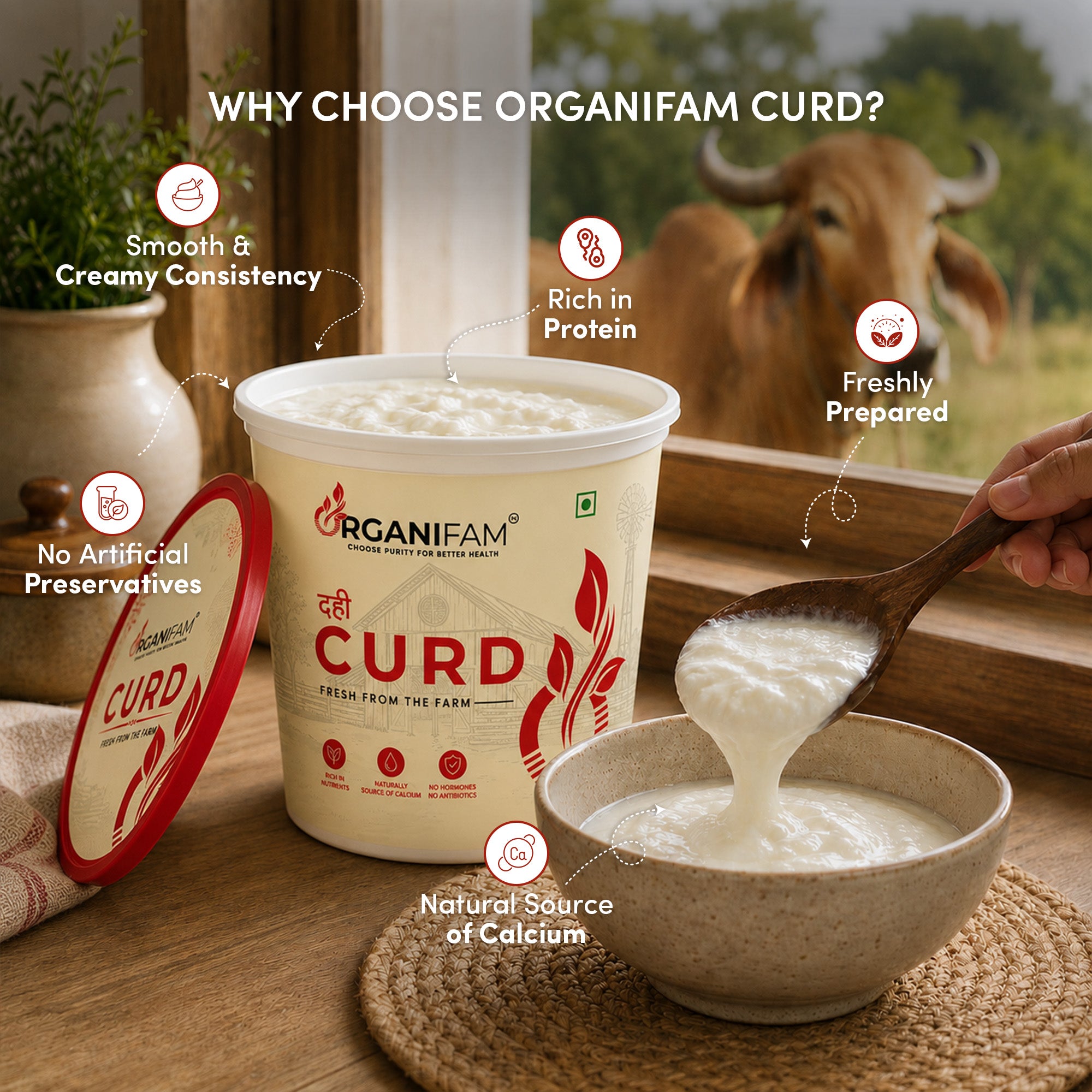 Farm Fresh Curd