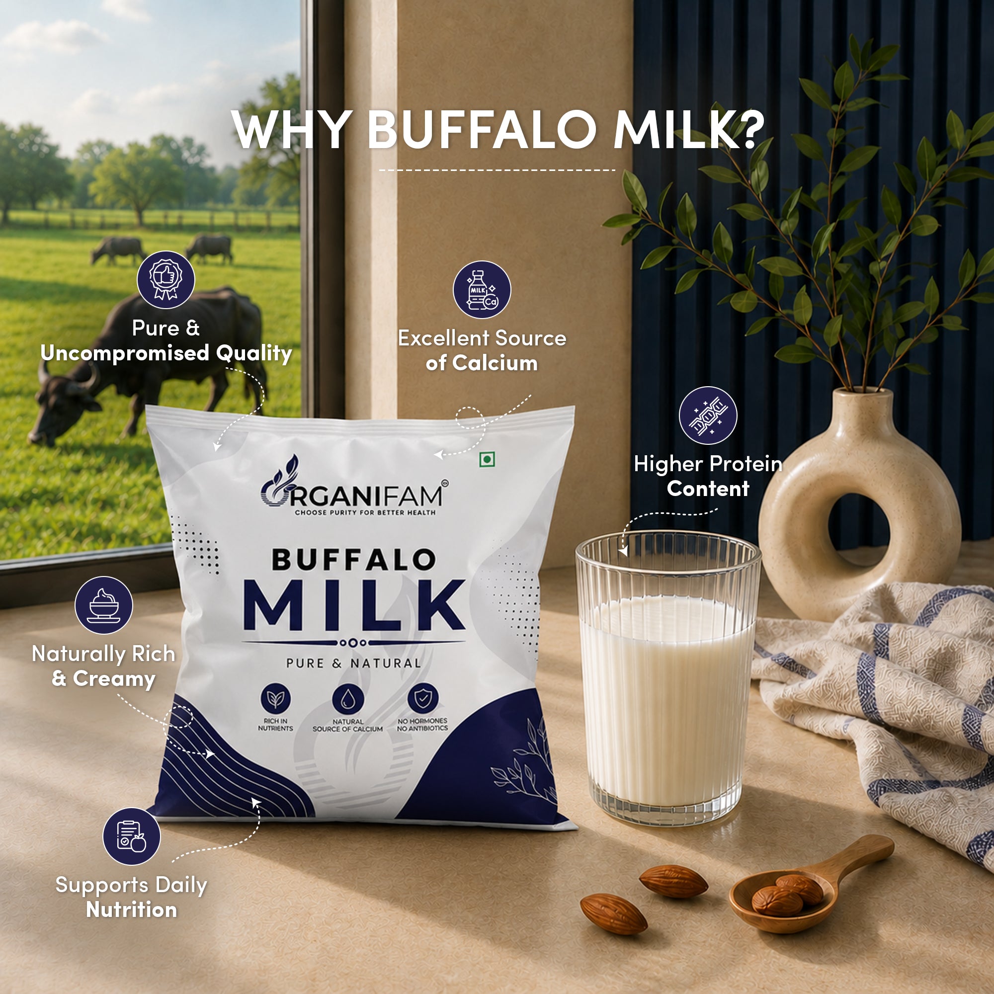 Buffalo Milk