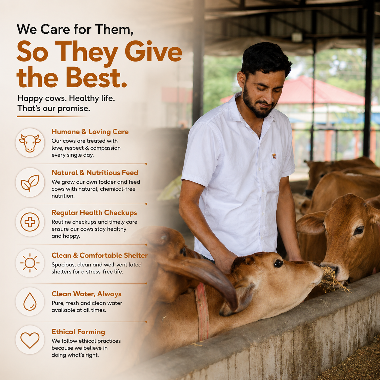 Organic A2 Cow Milk