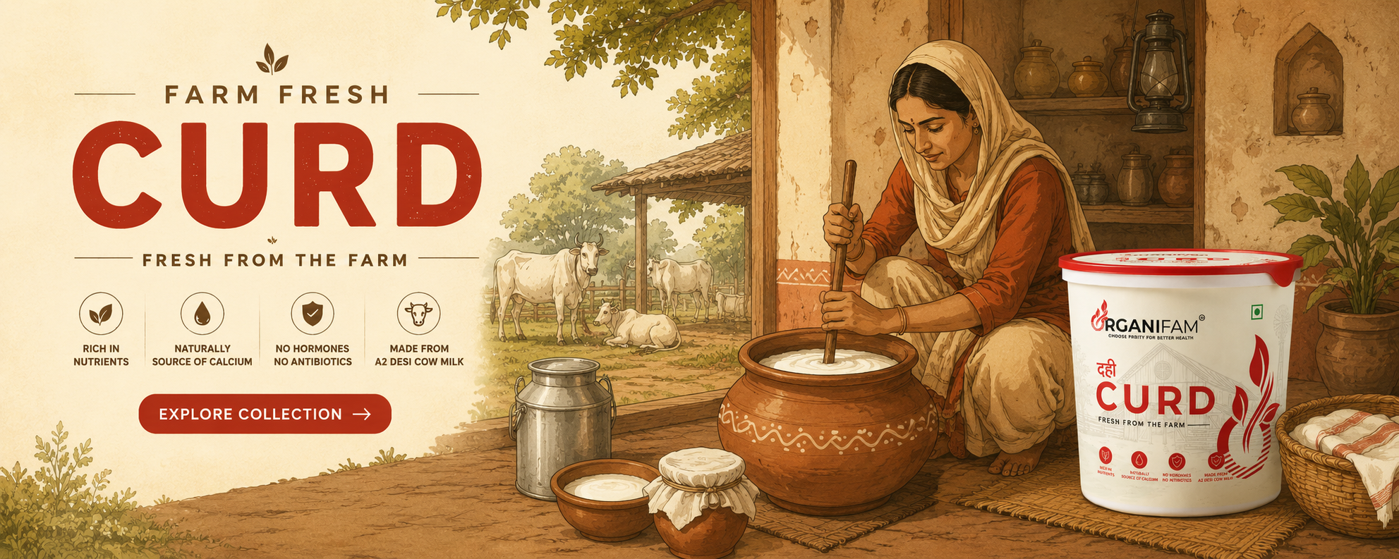 collection-banner-image