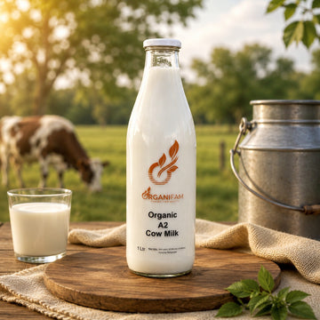 Organic A2 Cow Milk