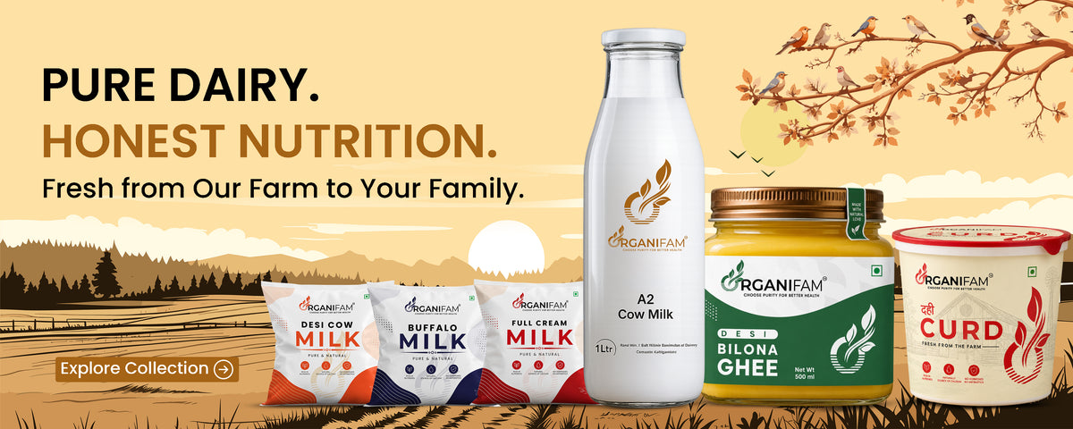 collection-banner-image