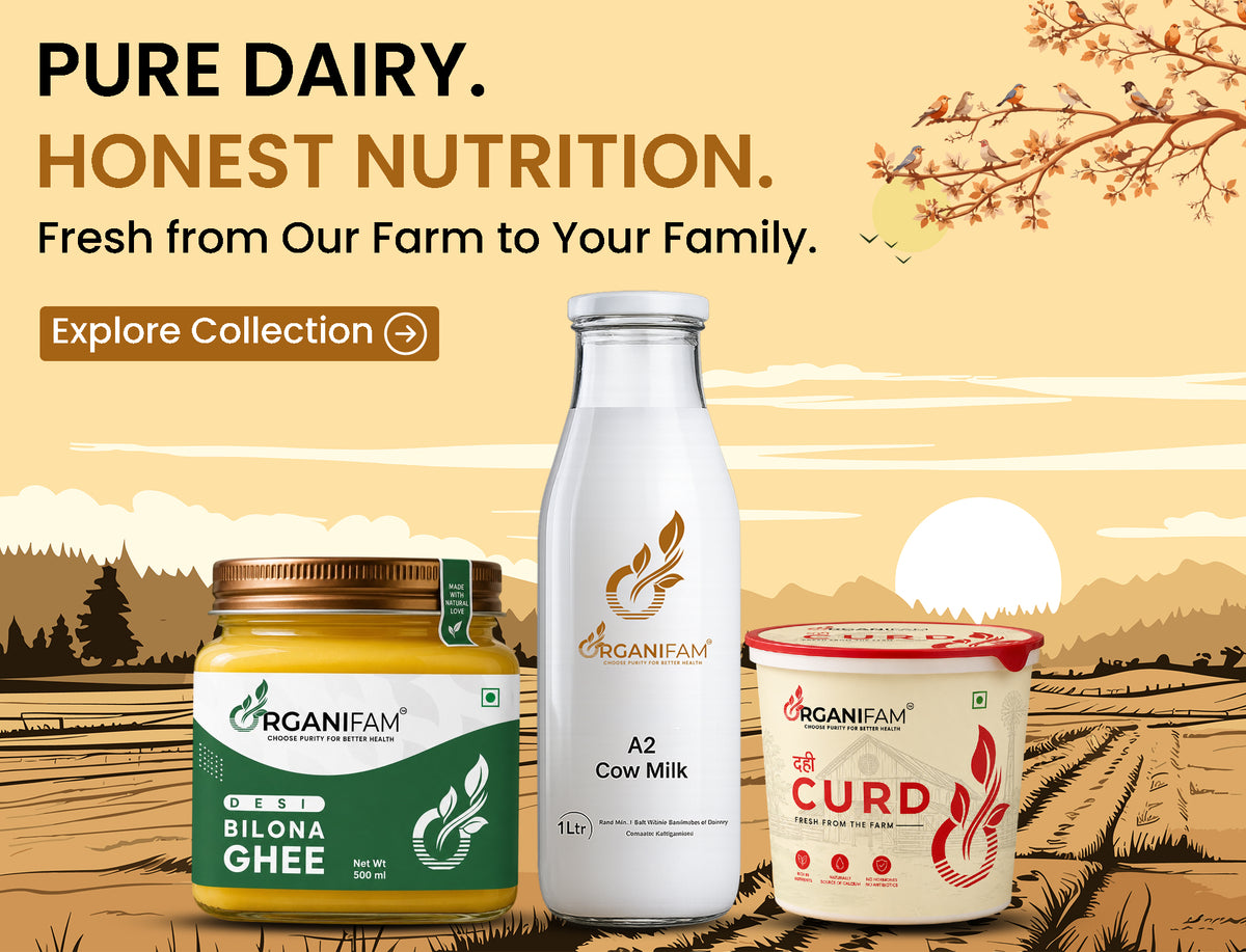 collection-banner-mobile-image
